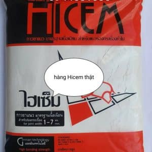 Hicem